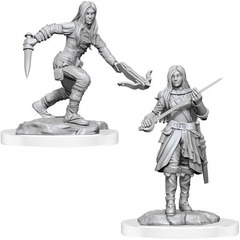 Half-Elf Rogue Female (Nolzur's - W17)